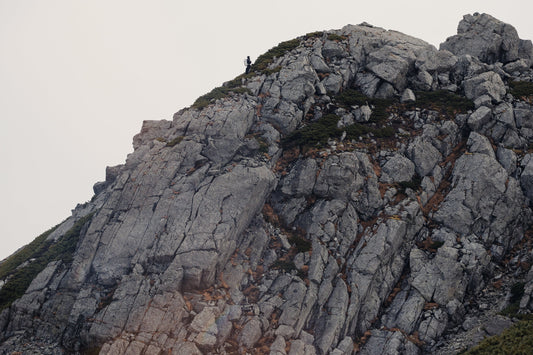 OBSESSED WITH THE RIDGE -Fly on the wall-